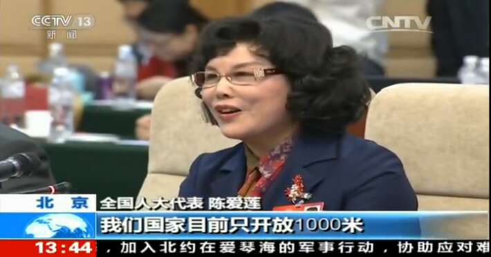 【CCTV新聞】李藝連代表談通用航空産業