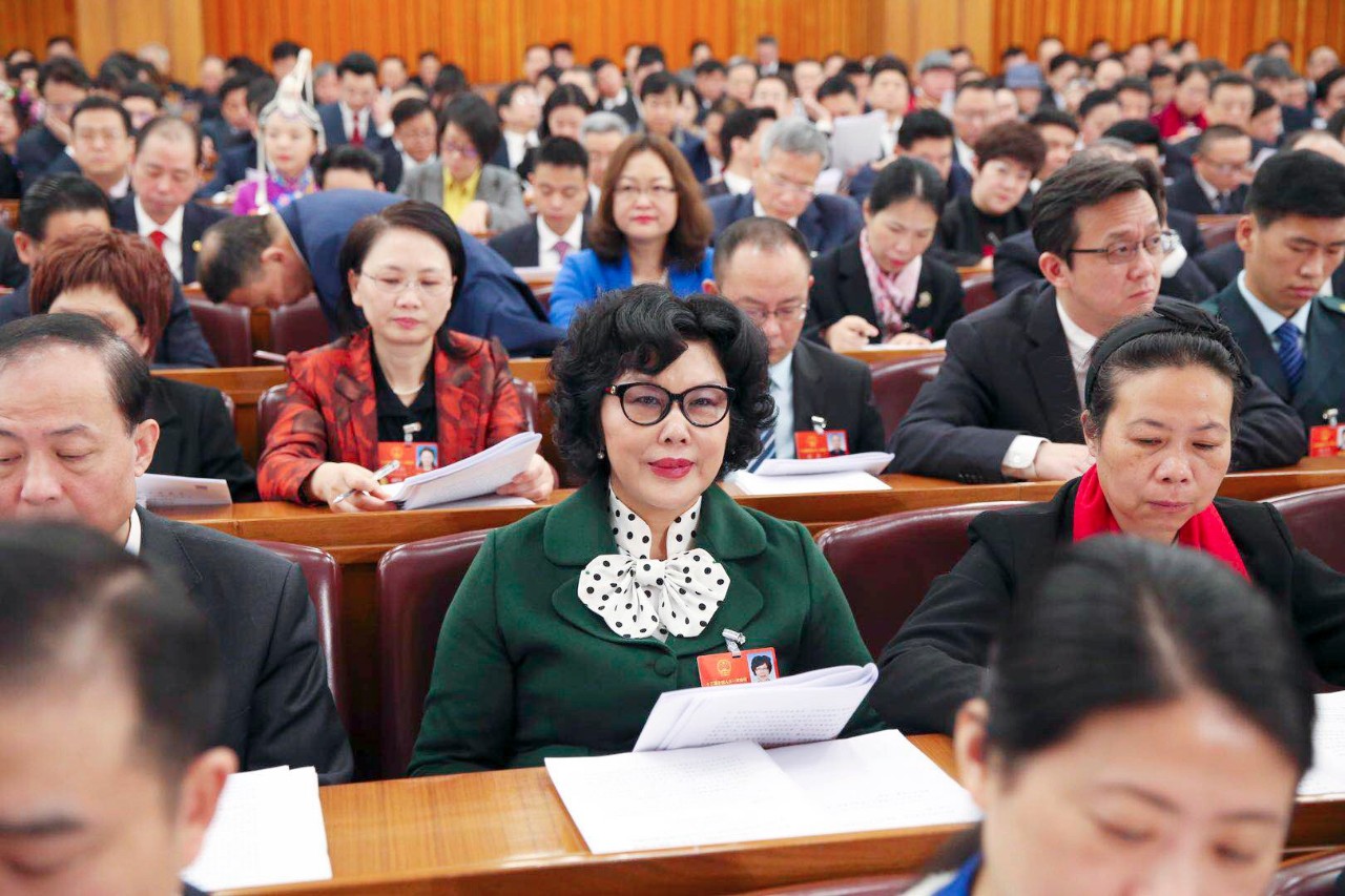 中國政府網：李藝連代表審議讨論政府工作報告