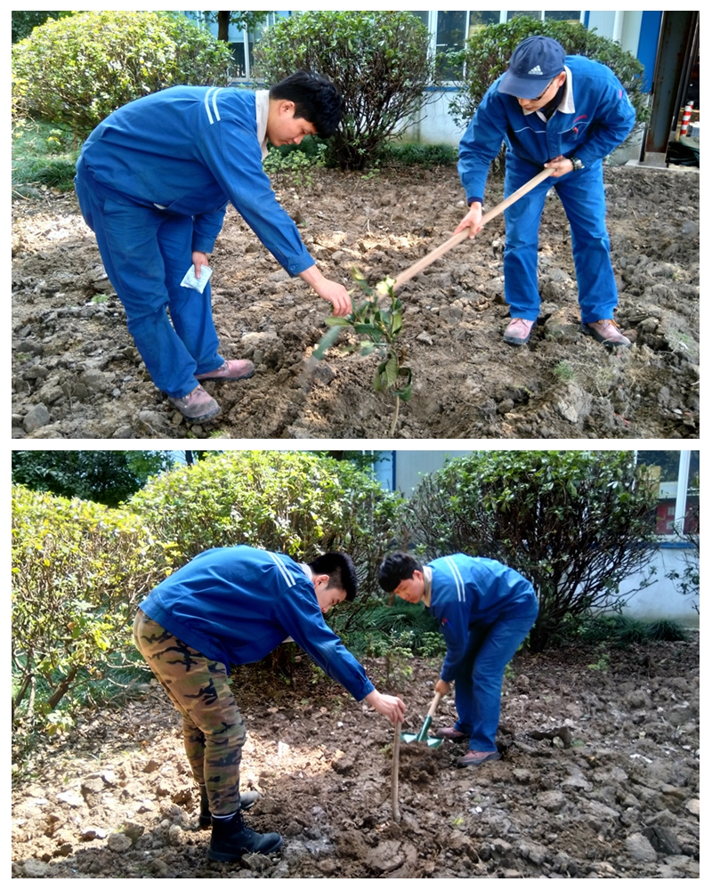 學習雷鋒好榜樣 ku娛樂真人體育平臺下載青年在行動